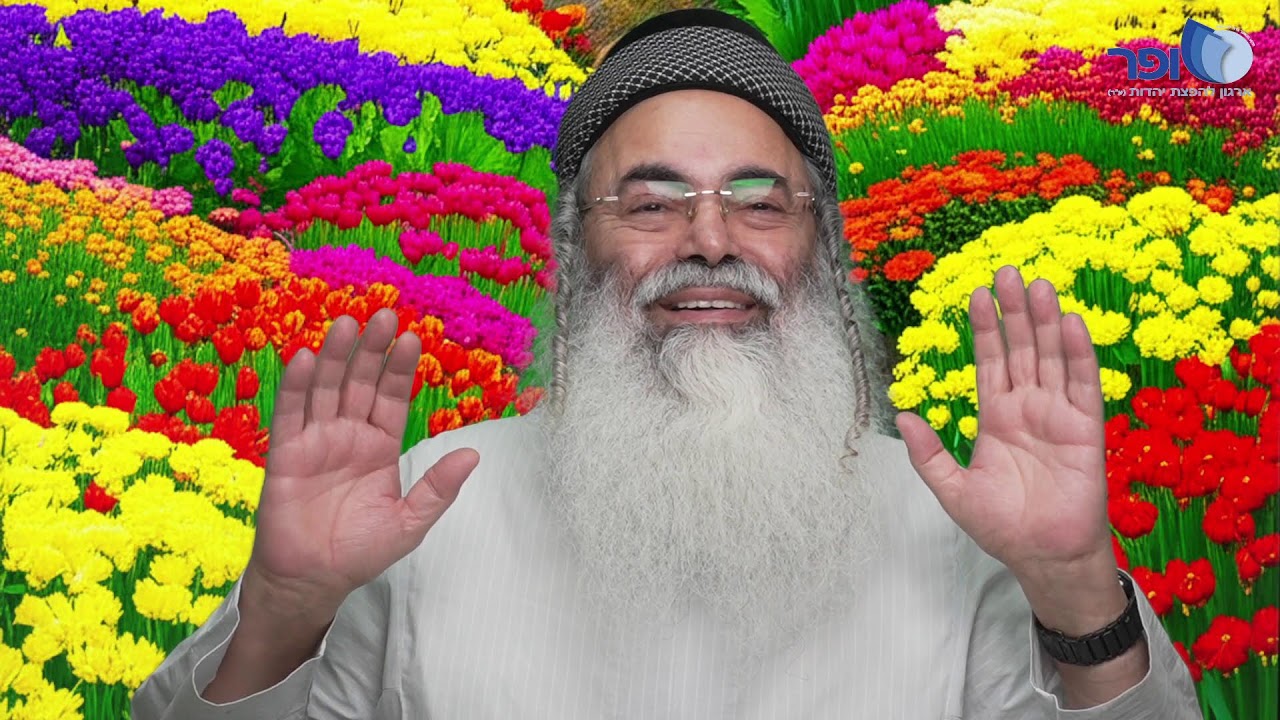 פרפראות וחדושים לפרשת יתרו תשפו חלק ד'