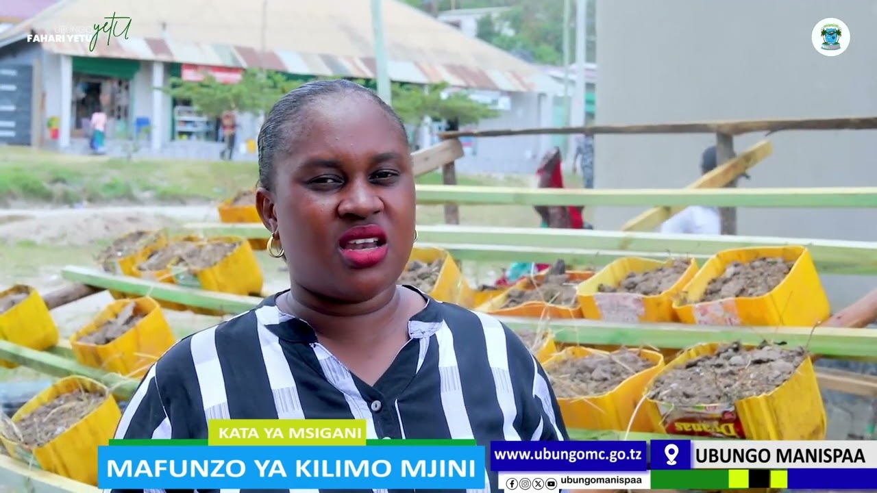 WAJASIRIAMALI UBUNGO WAPATIWA MAFUNZO YA KILIMO MJINI | WAFANIKIWA ZAIDI KIBIASHARA