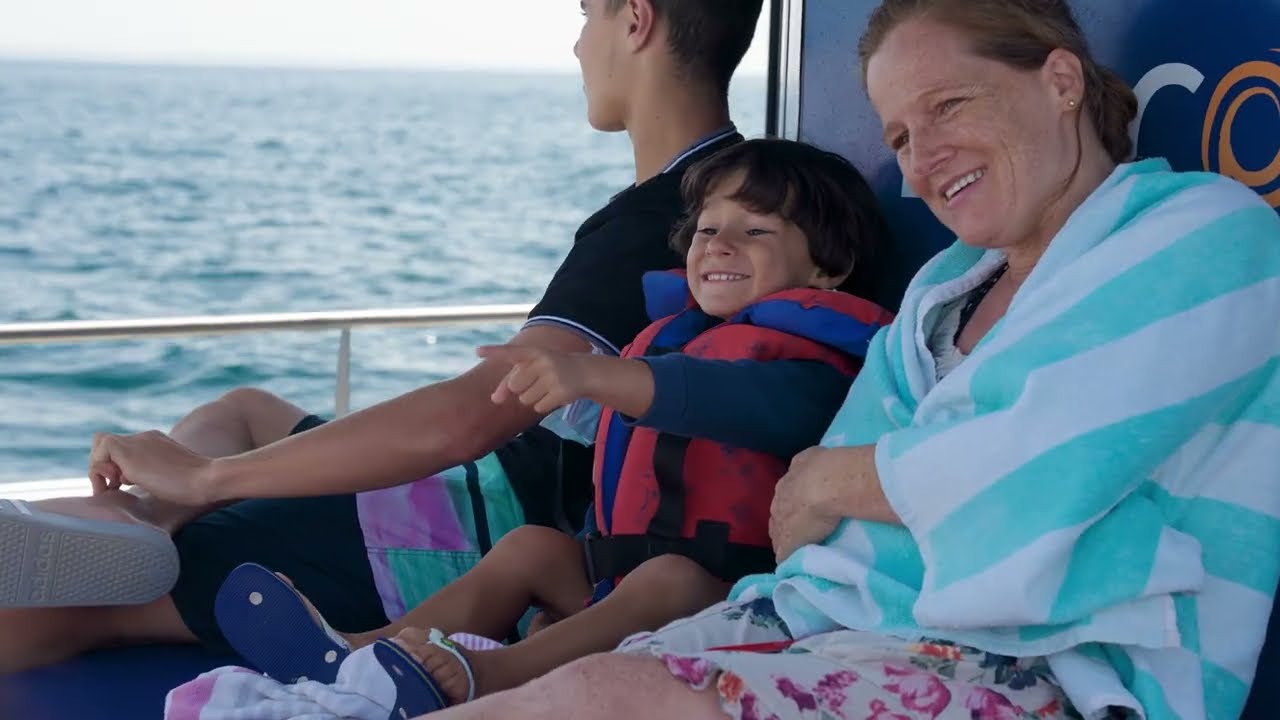Discover Tours - Dolphin Watching