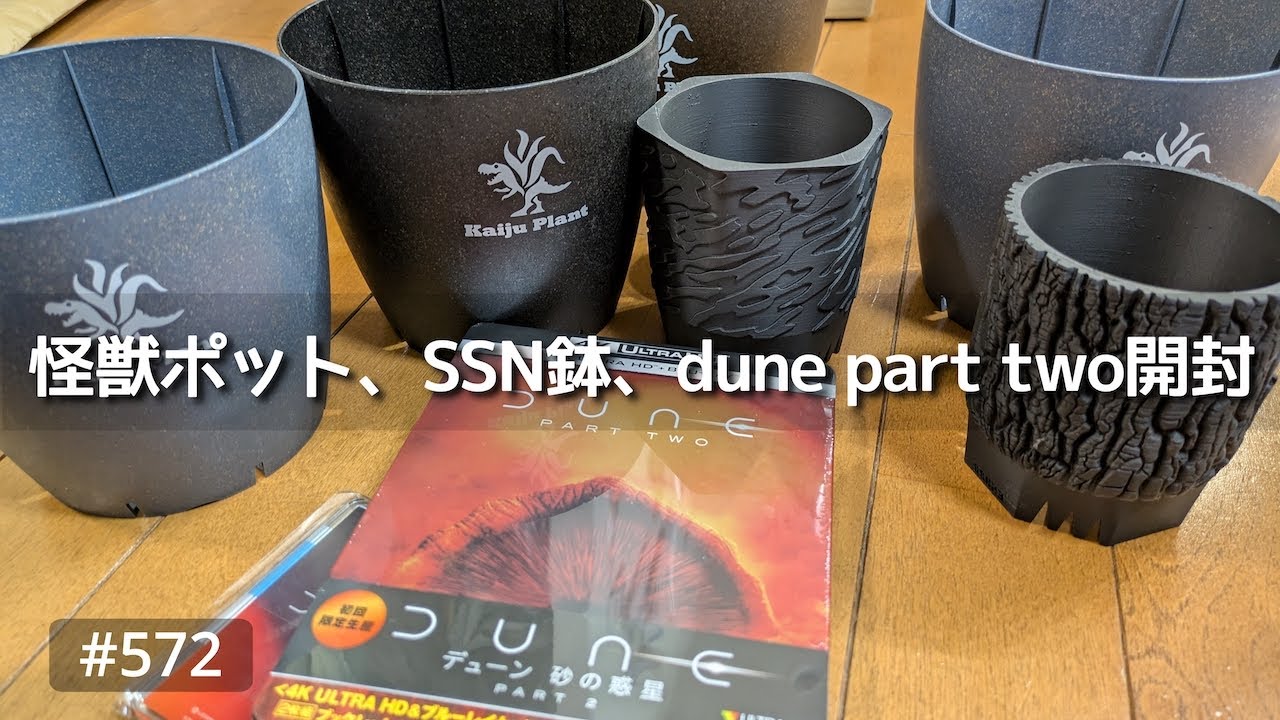 vlog: 572 「日常系vlog | 余白ピグマエアが調子イイ | Kaiju Plantの怪獣ポット | SSN鉢 | dune part 2 届いた」