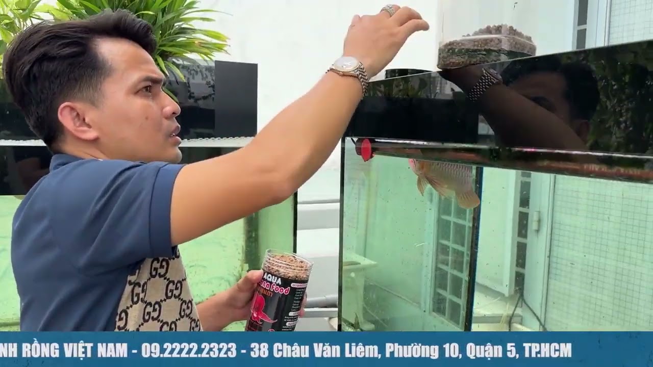 Kết quả sau 1 thời gian cho cá ăn thức ăn khô