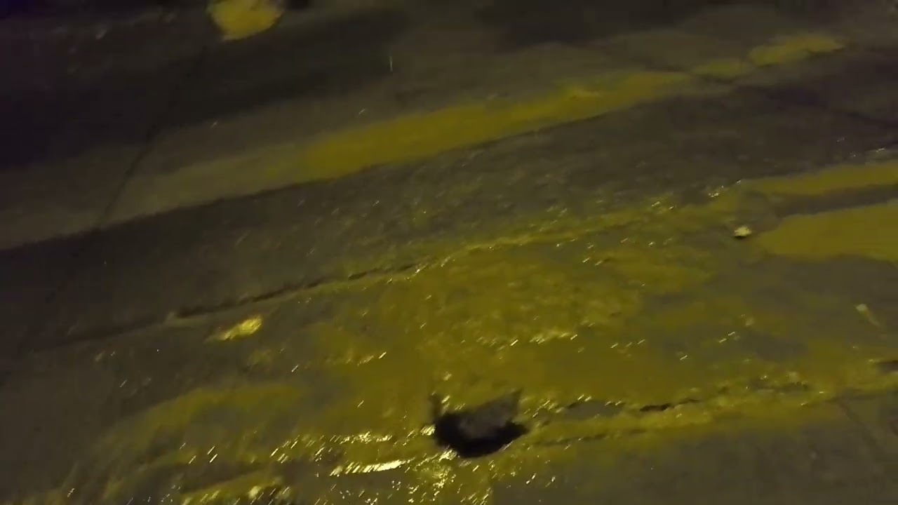 FUERTE LLUVIA EN LIMA NORTE  (Independencia) 8pm jueves 29 de Enero 2026  CLIMA LOCO
