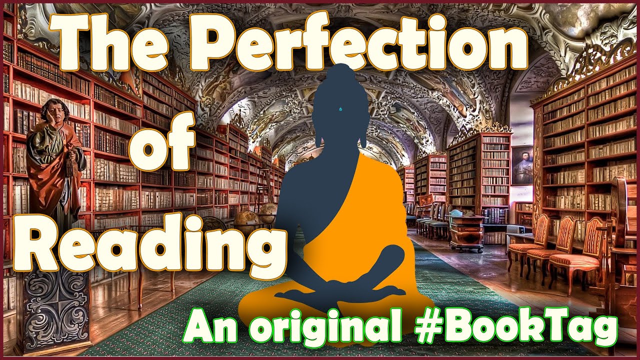 The Perfection of Reading | An original #booktag