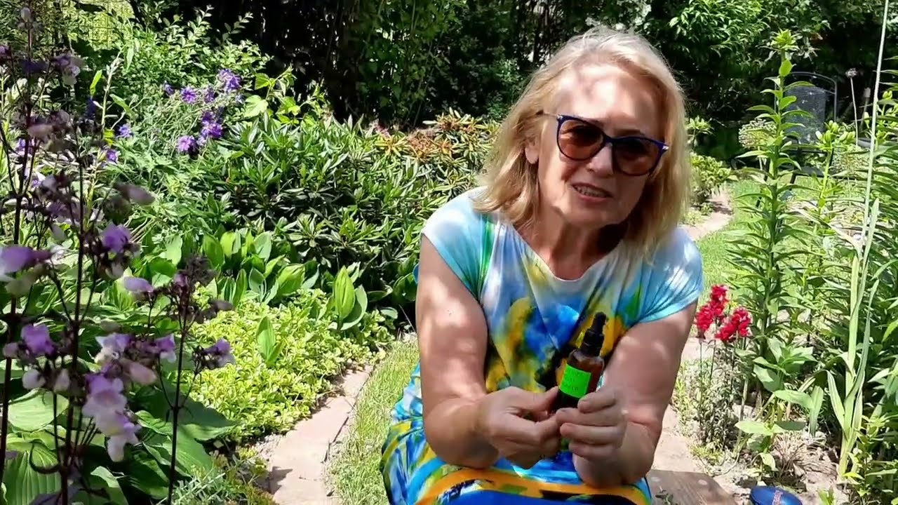Różeniec górski - mała roślina o wielkich możliwościach leczniczych. Melarosa #72