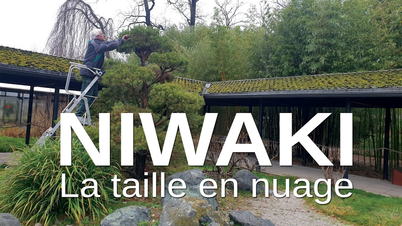 NIWAKI