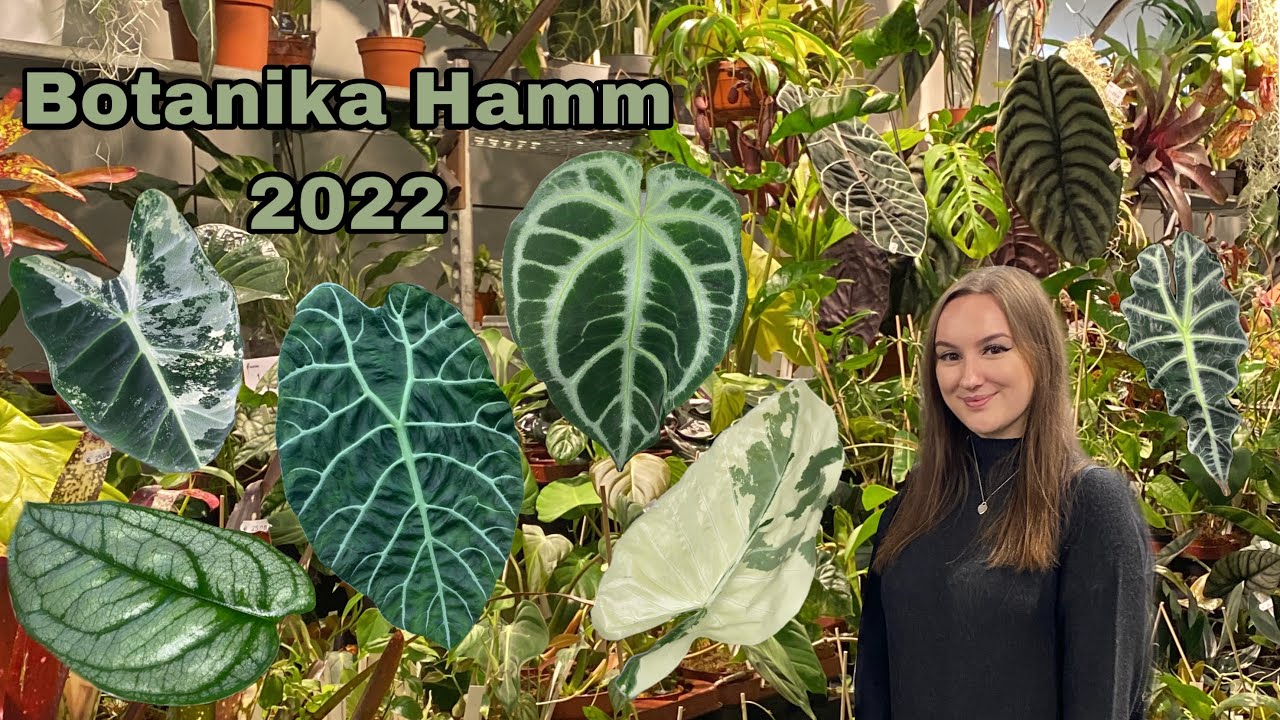 Botanika Hamm 2022 🪴🤍 | + Haul 🛍️