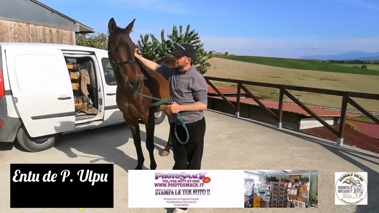 ENTU DE P. ULPU SCUDERIA ANTONIO SIRI 9 MAGGIO 2024