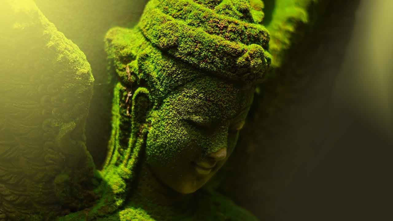 Wellness - Buddha's Lounge  (Indian Flute Music)