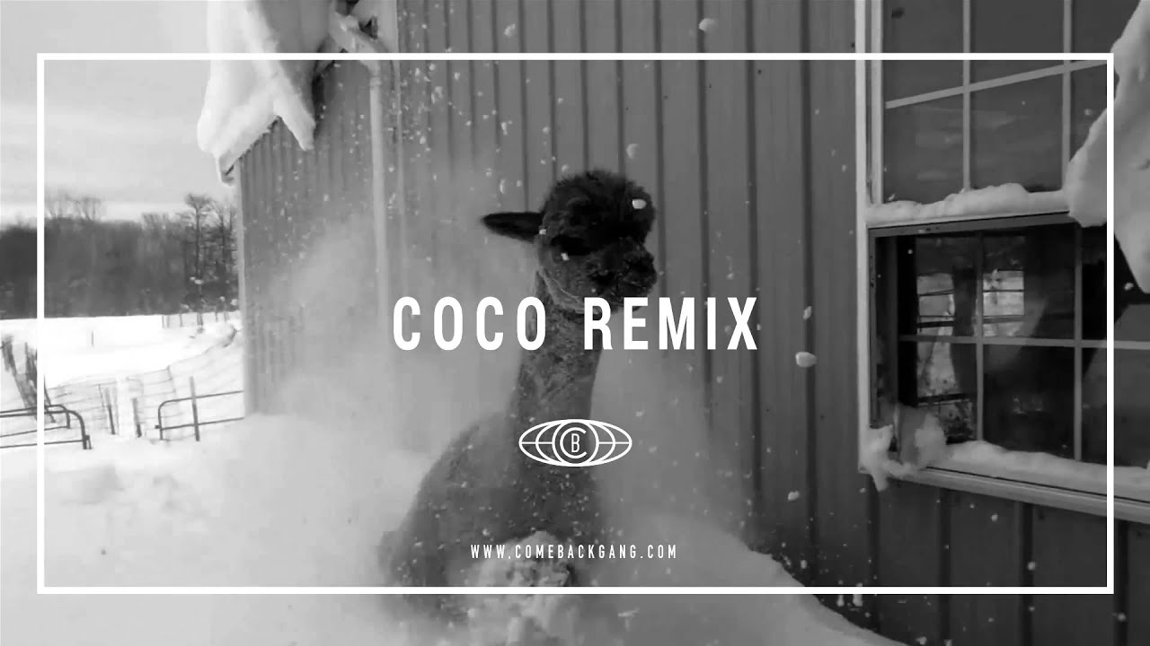 PIL C feat. ŠKRUPO — COCO RMX