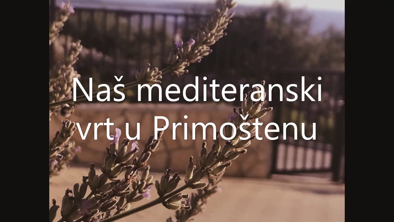 Na&scaron; mediteranski vrt u Primo&scaron;tenu!