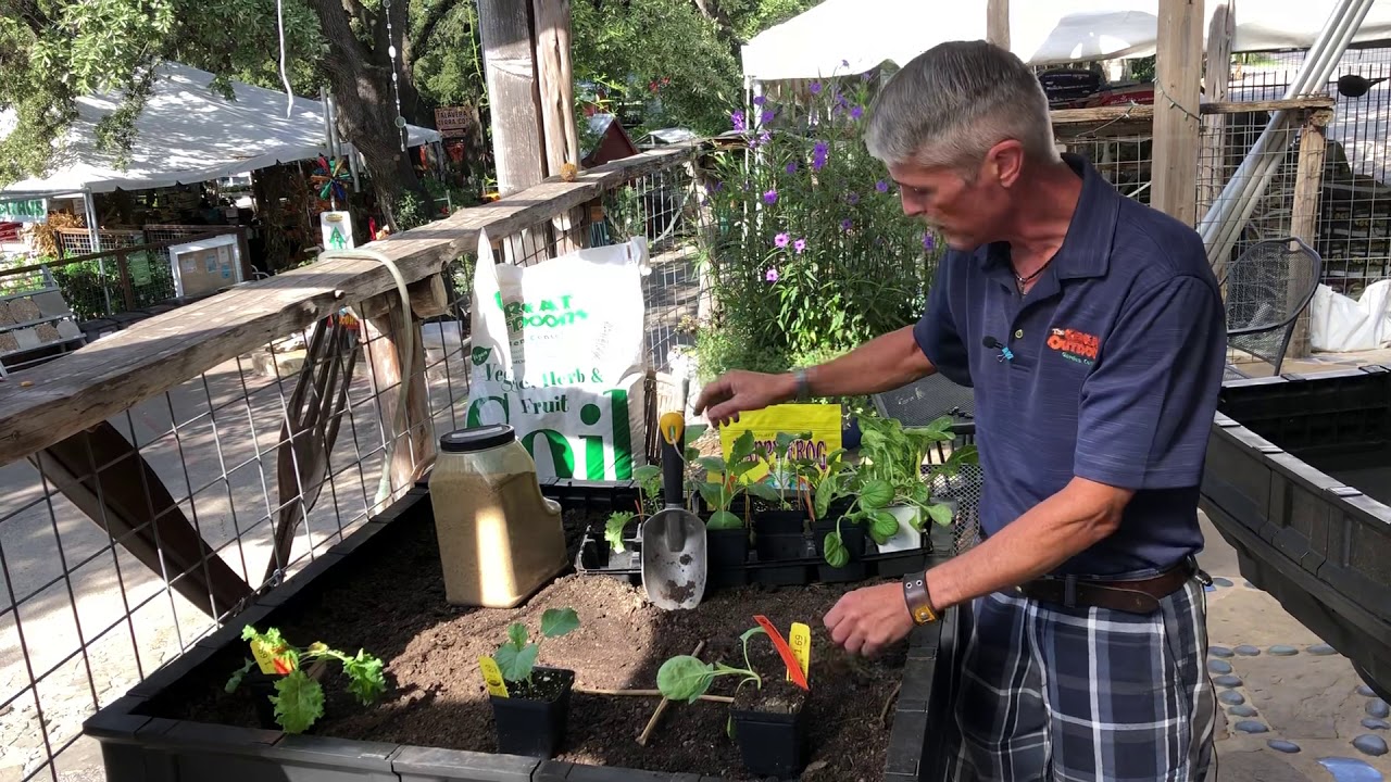 Planting a Fall Veggie Garden - with Vegepods