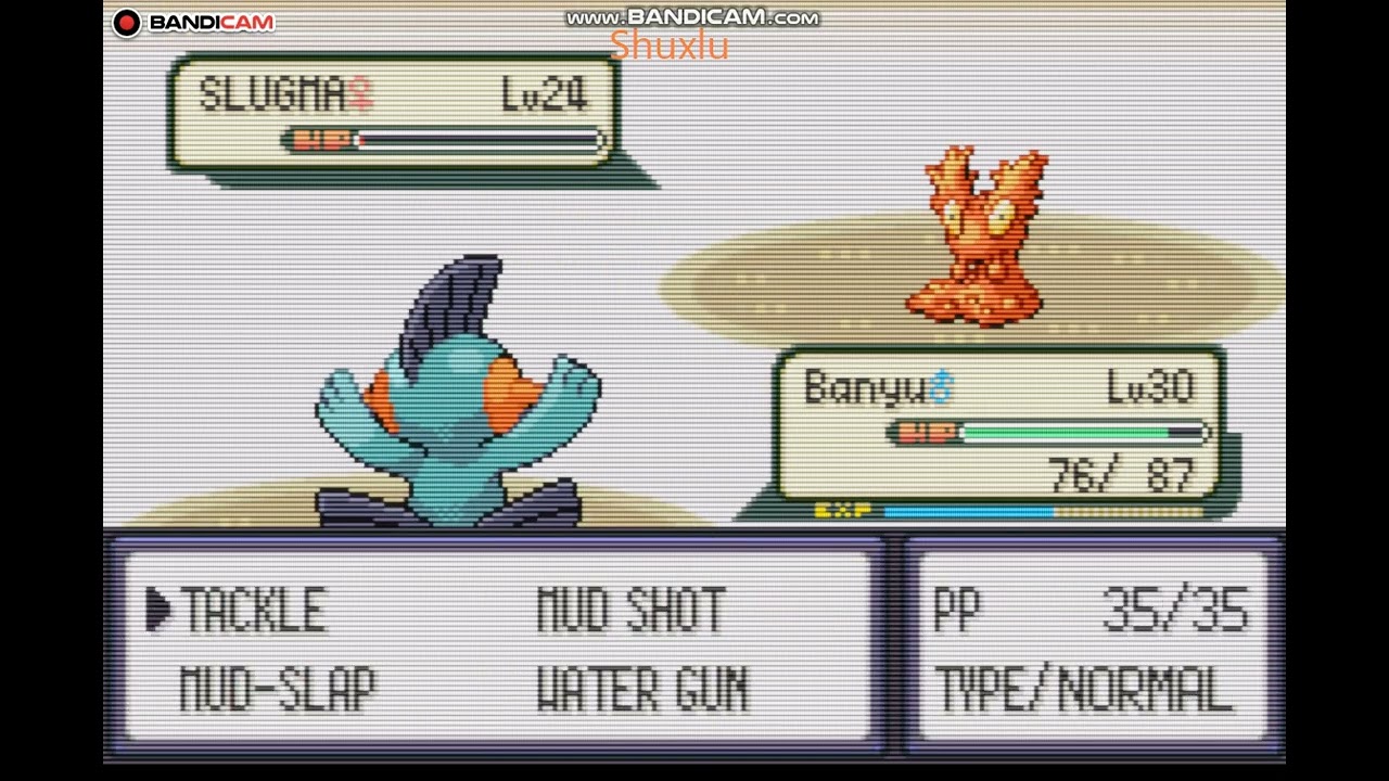 shuckle bermain pokemon emerald-gym 4