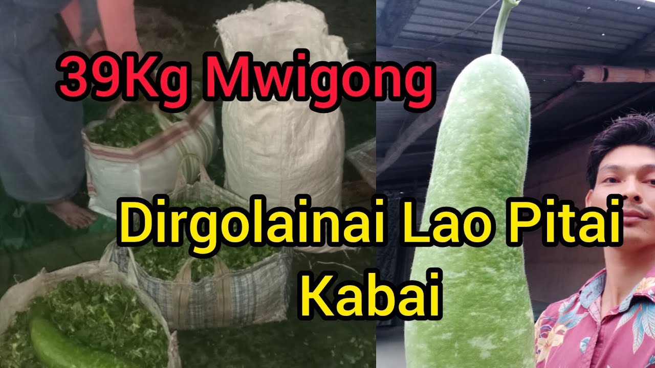 Dirgolainai Lao Pitai 🍐 39 Kg Kuduna Butua Mwigong Ep. 90