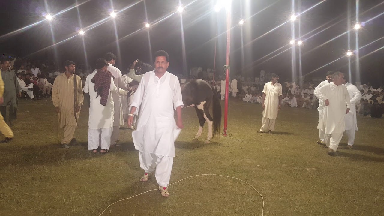 Ghora dance Ustad Resham joiya mela 18 Hazari 31.3.2018