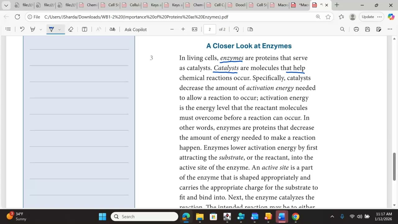 4.2 WB 1-2 The Importance of Enzymes as Proteins