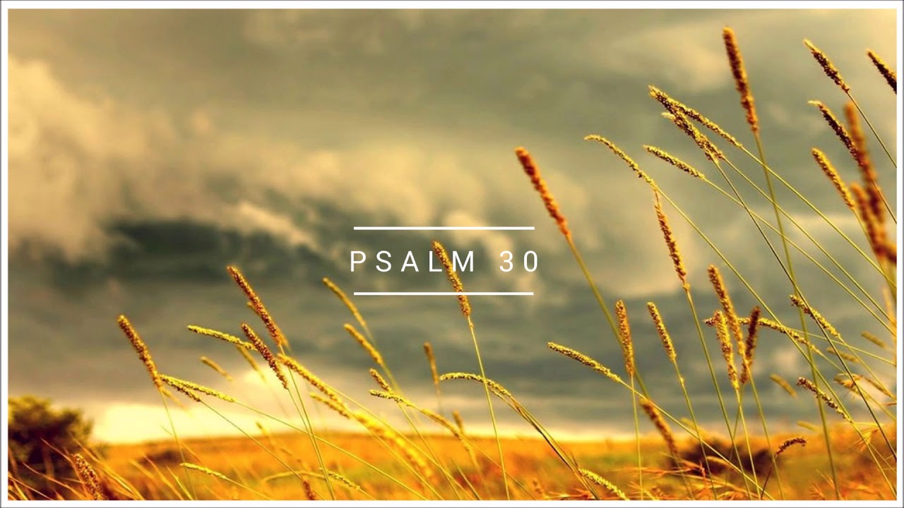 Psalm 30 Biblia warszawska