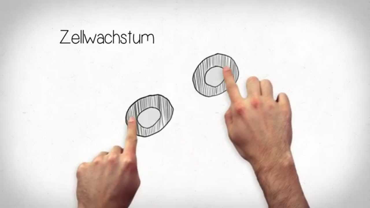 Wie entsteht Krebs | MedUni Wien - Video by VerVieVas