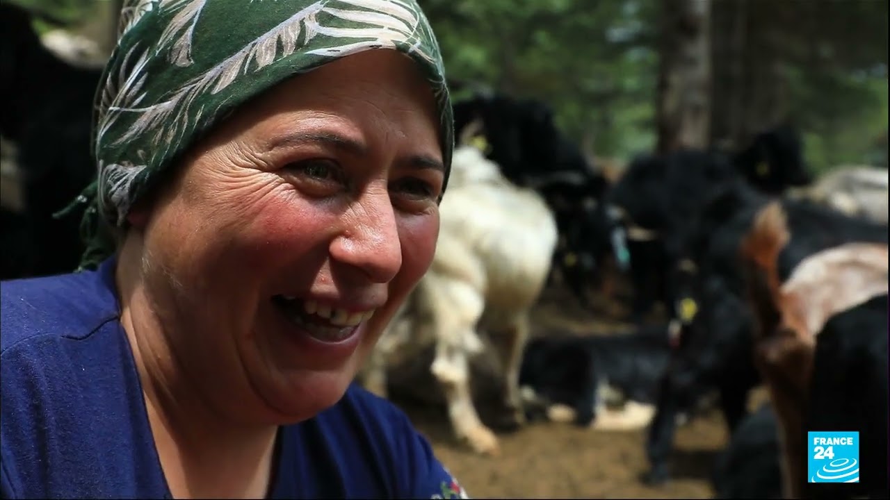 Turquie : les derniers nomades Yörük peinent à perpétuer leurs traditions • FRANCE 24