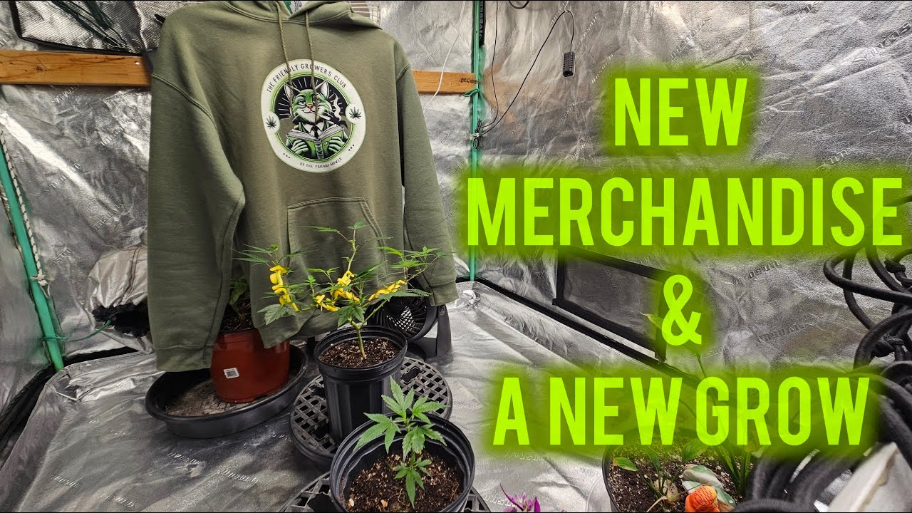 Gary Payton clones and New Merch! -  The Friendly Grower