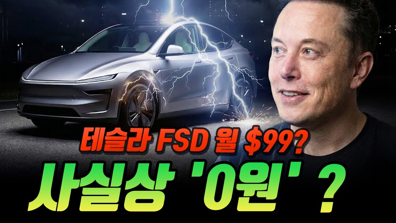 FSD 오늘부터 사실상 '0원' FSD 보험료 50% 파격 할인! 워렌 버핏의 해자가 무너진 이유는?