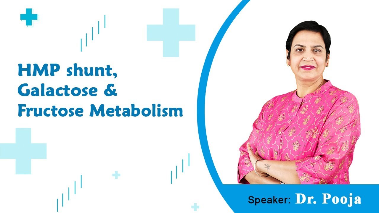 HMP shunt, Galactose & Fructose Metabolism  By Dr Pooja For MBBS 1st Proff