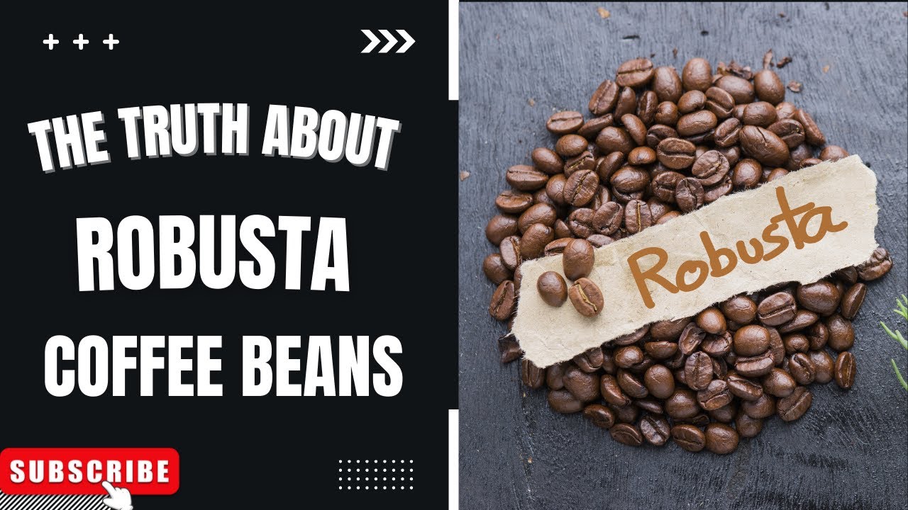 The Truth about Robusta Coffee Beans | Coffee Buzz Club |