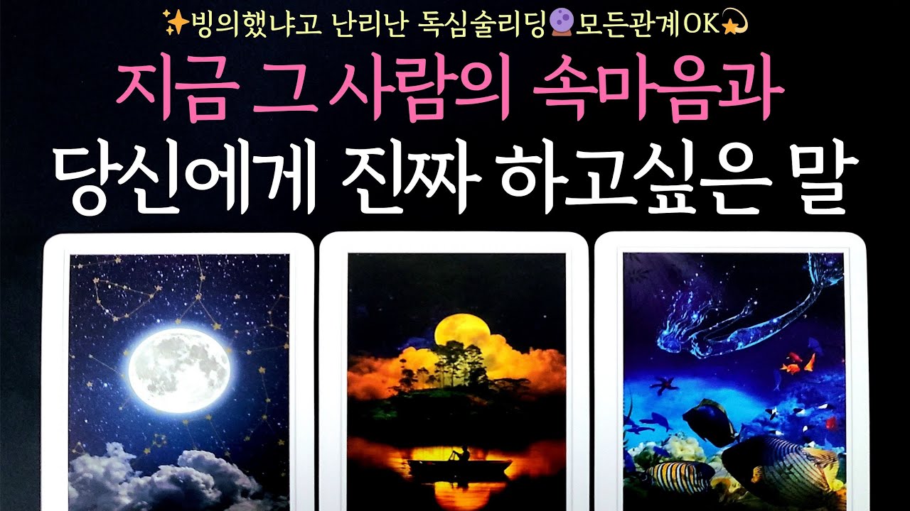 [타로] 