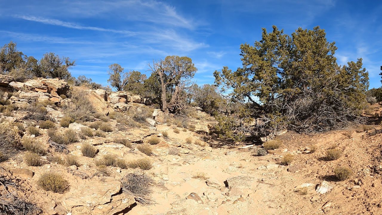Hiking on the Plateau Part 2  November/12/2025