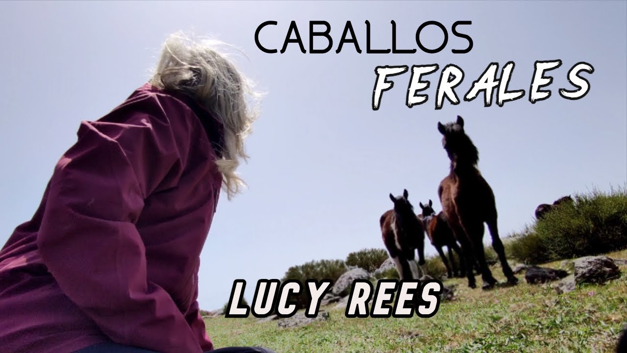 Etóloga equina sobre los caballos salvajes | Lucy Rees