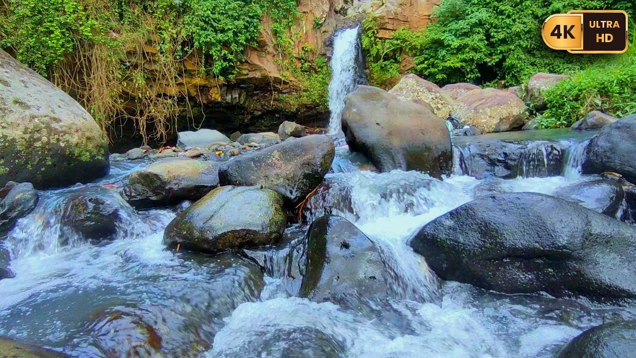 Deep Sleep River Ambience with Soft Nature Atmosphere