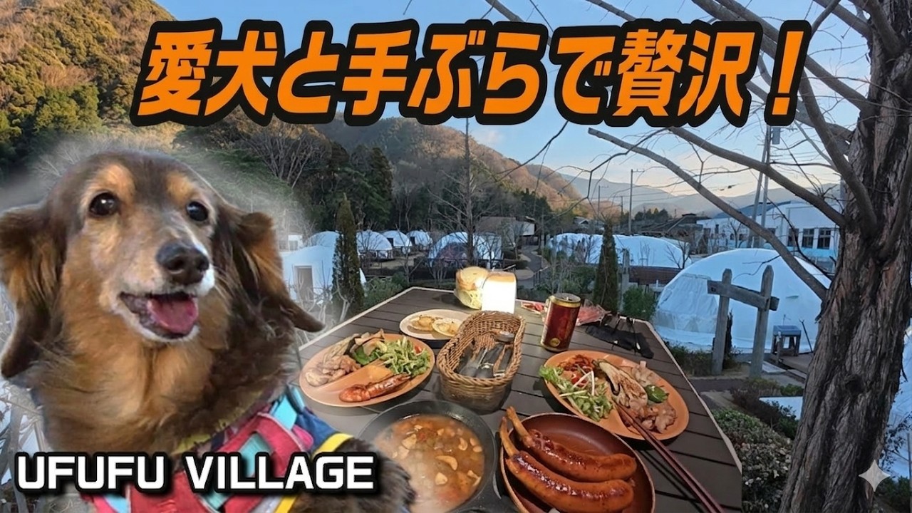 愛犬と伊豆グランピングに宿泊！でも１つだけ注意点を正直にお伝えします【UFUFU VILLAGE】