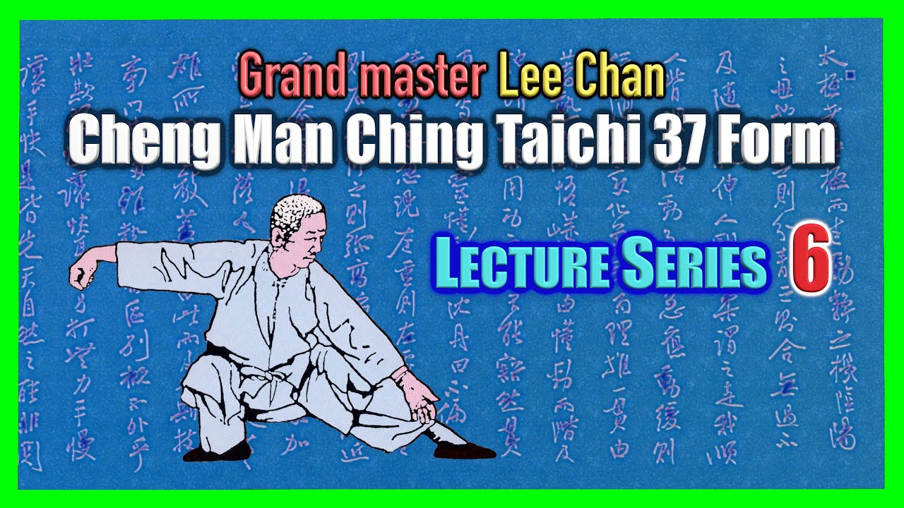 【Cheng Man-Ching Taichi 37 form】 Lecture Series 6 : Brush Knee and Twist Step - Play the Guitar