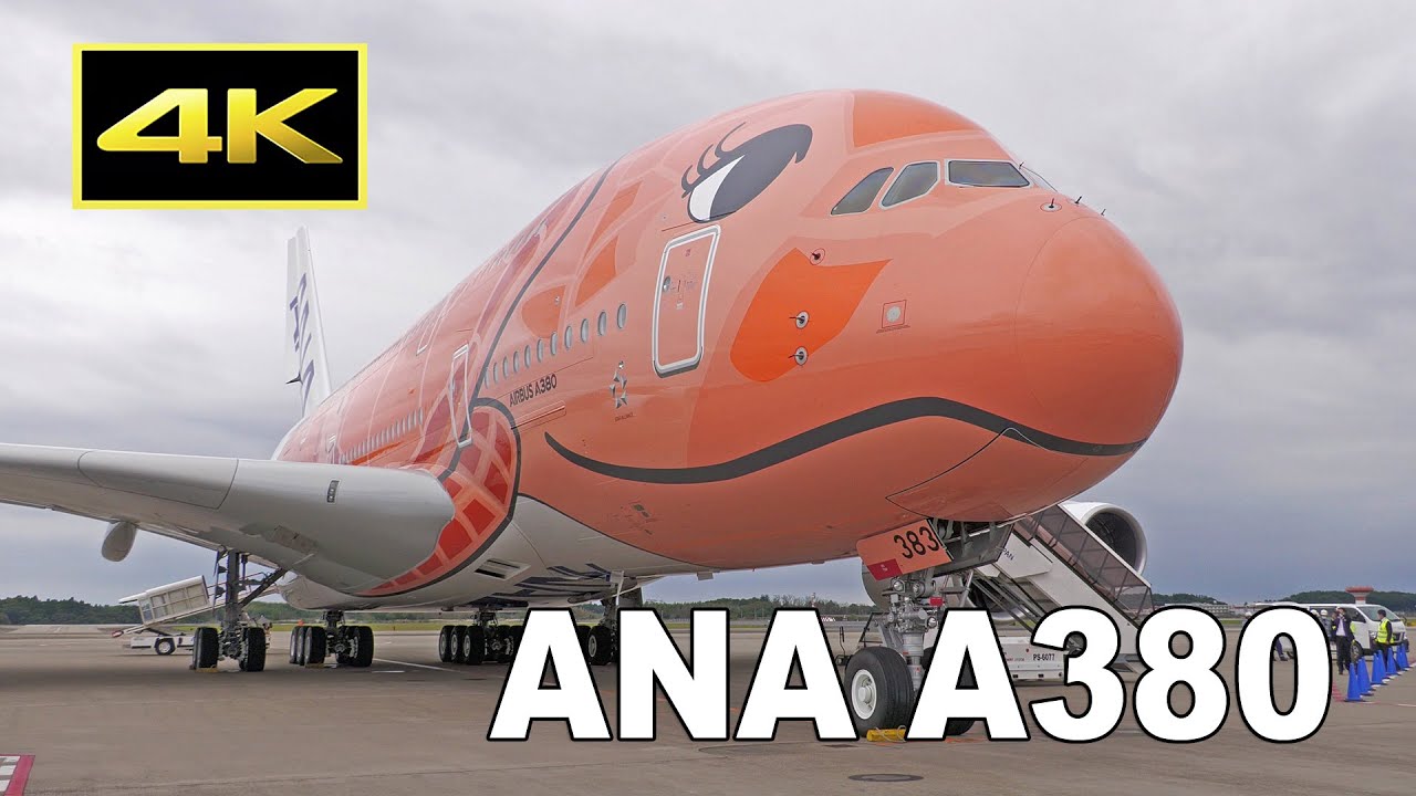 [4K] Landing and Close-up : ANA Airbus A380 [JA383A] at Narita Airport / フライングホヌ 3号機 成田空港