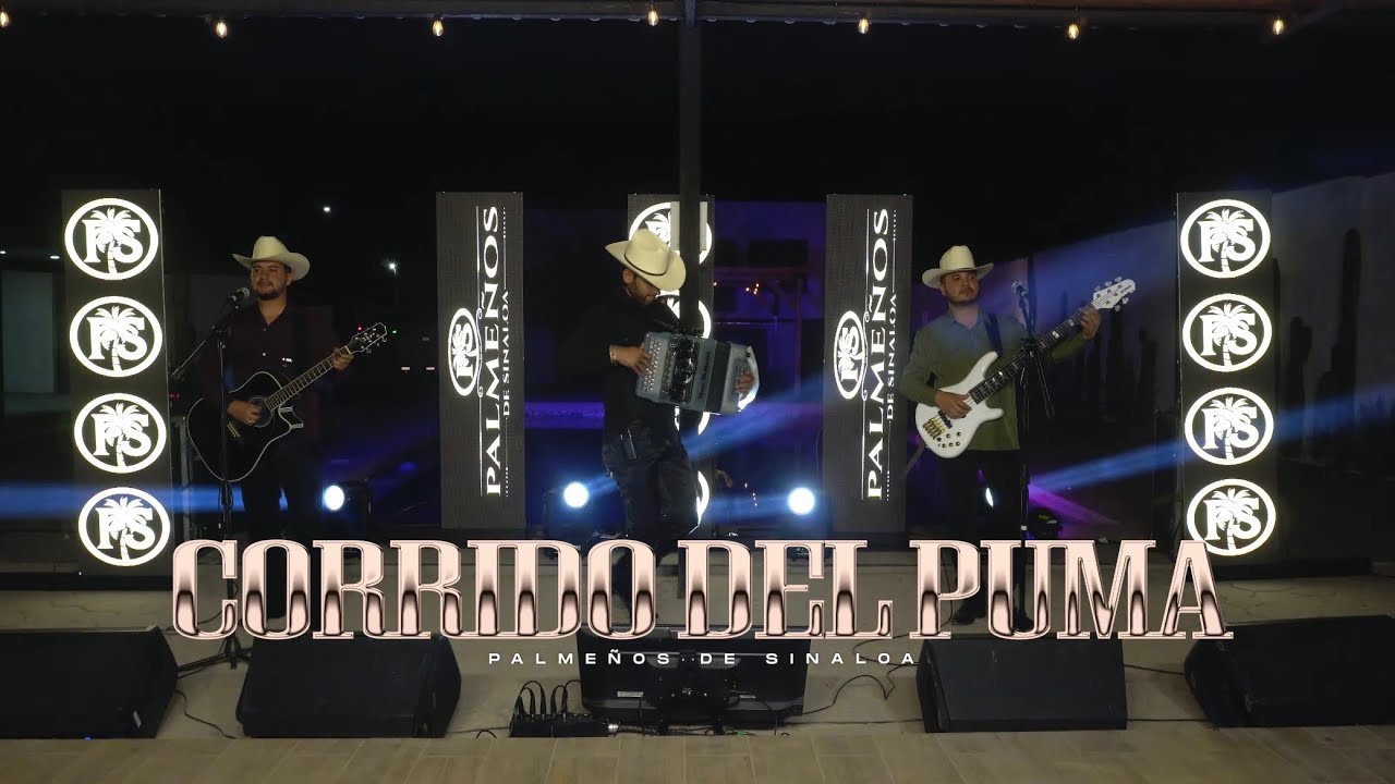 Palmeños De Sinaloa - Corrido Del Puma (En Vivo)