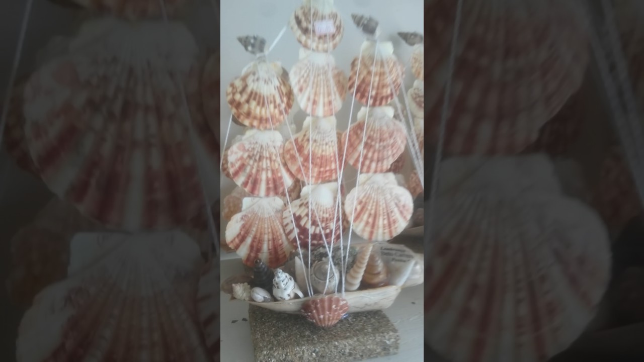 Artesanatos em conchas do mar