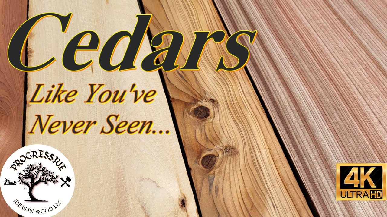 Cedars