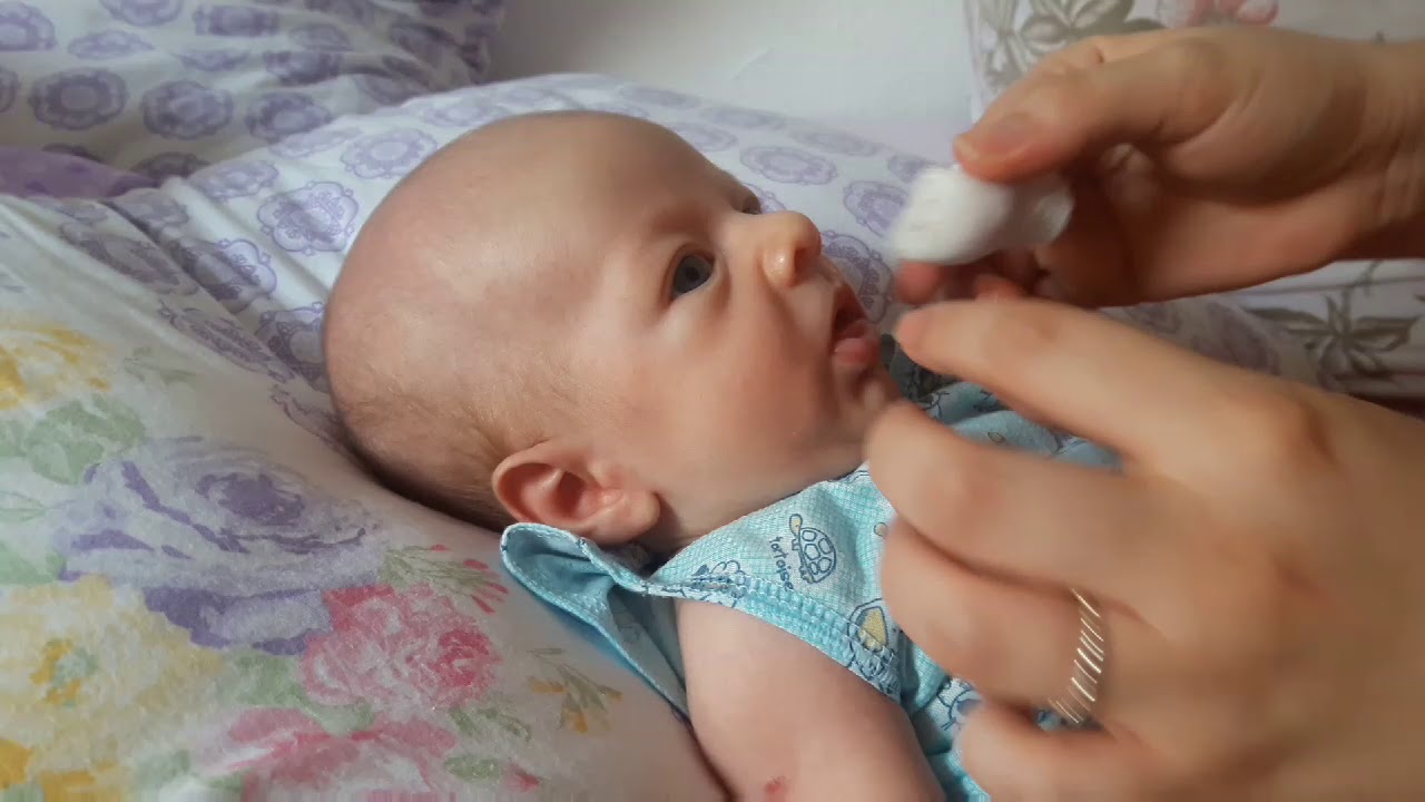 LIMPANDO A LÍNGUA DO BB PELA PRIMEIRA VEZ I Keren Maciel