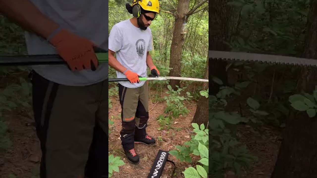 Silky Katanaboy 650mm folding saw. This is a two handed hand saw that can compete with chainsaws!