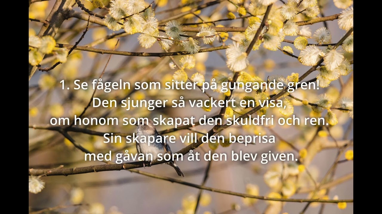 Sions sånger med Axel Esberg