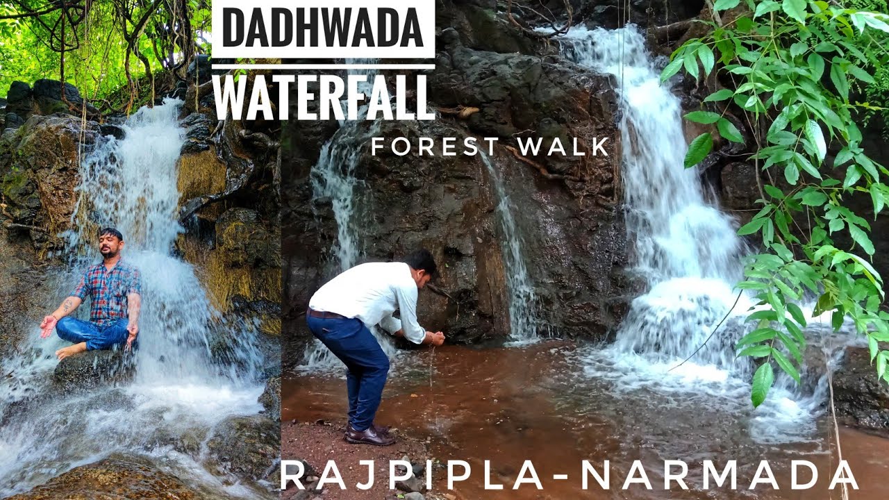 Dadhwada Waterfall Forest walk, #statue_of_unity #narmadaforest #naturlovers #shoolpaneshwarwildlife
