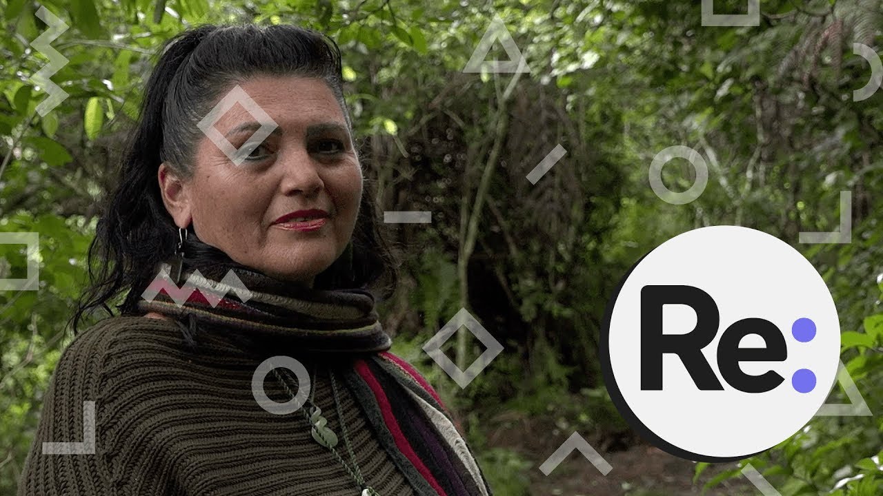 Медицина маори: поиск лекарств в лесу