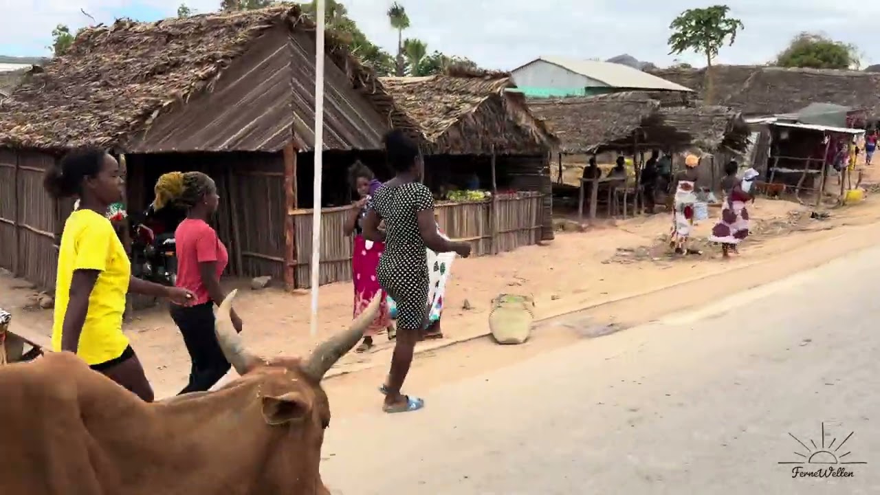 Madagaskar 2024 - Part 1 - Von Nosy Be nach Andapa