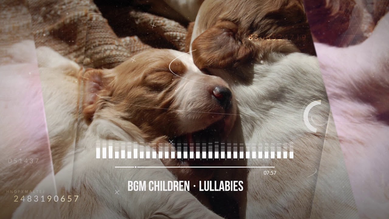 🎧Lullaby♫lullabies for babies to go to sleep♫