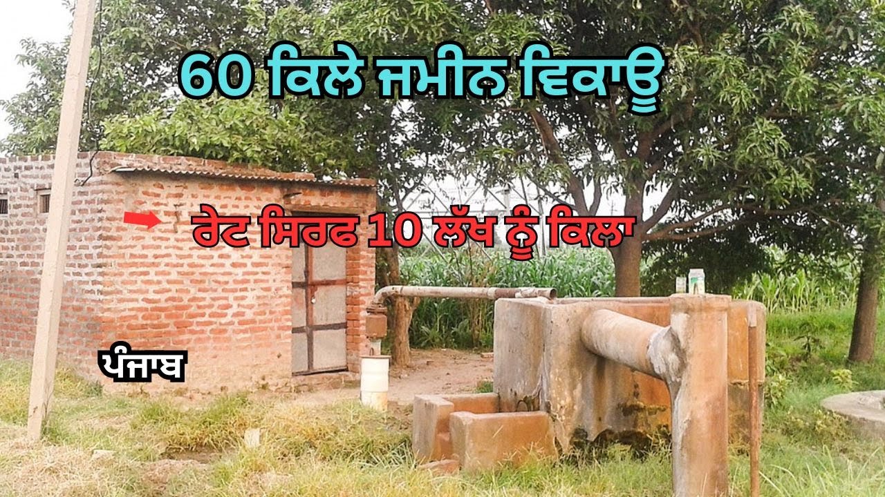 60 ਕਿਲੇ ਜਮੀਨ ਵਿਕਾਊ ਰੇਟ ਸਿਰਫ 10 ਲੱਖ ਨੂੰ ਕਿਲਾ ਪੰਜਾਬ