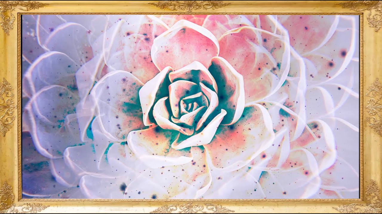 Flower Frame Art Vol. 2 (No Music) | Cozy TV Background