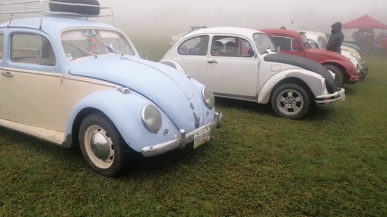 Autos tuneados en las Vigas, Veracruz - Chester  Fest 2020