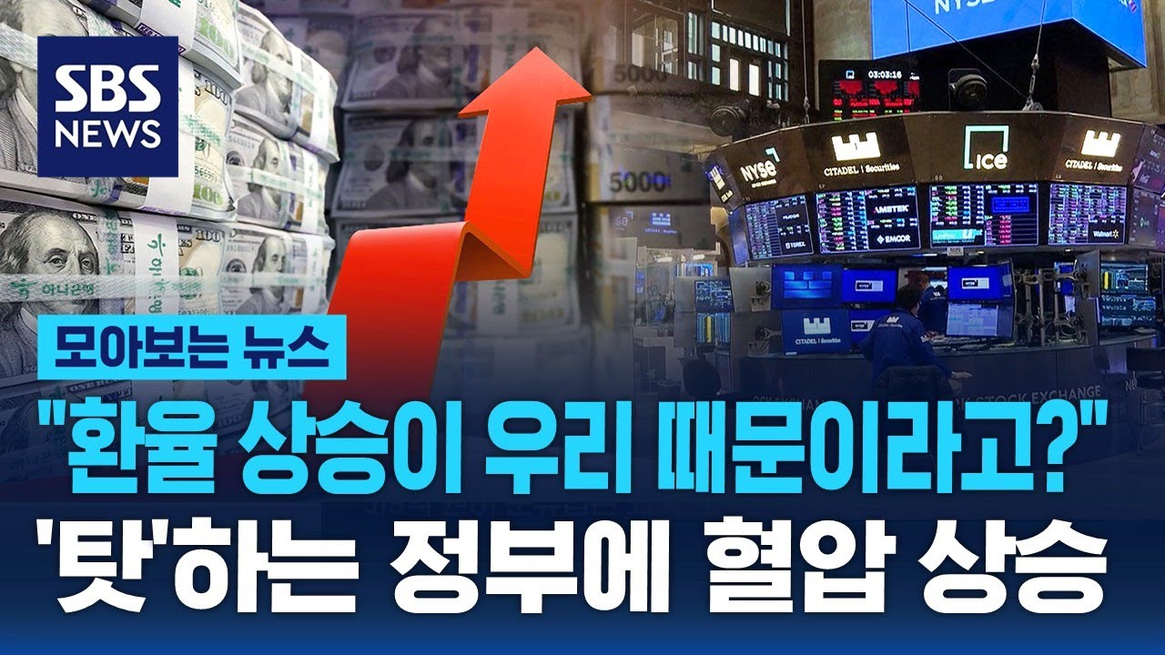 환율 상승이 우리 때문이라고? 서학개미들 불타오른다 / SBS / 모아보는 뉴스