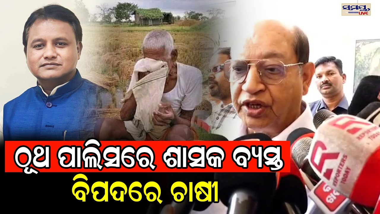 ଠୂଥ ପାଲିସରେ ଶାସକ ବ୍ୟସ୍ତ ବିପଦରେ ଚାଷୀ  | Latest Odia News | Samayalive