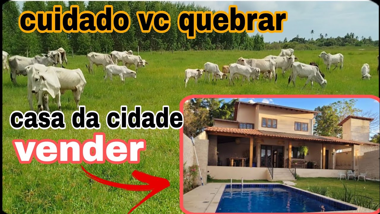VENDER A CASA DA CIDADE IR PARA ROÇA CUIDADO VC PODE QUEBRAR!!!