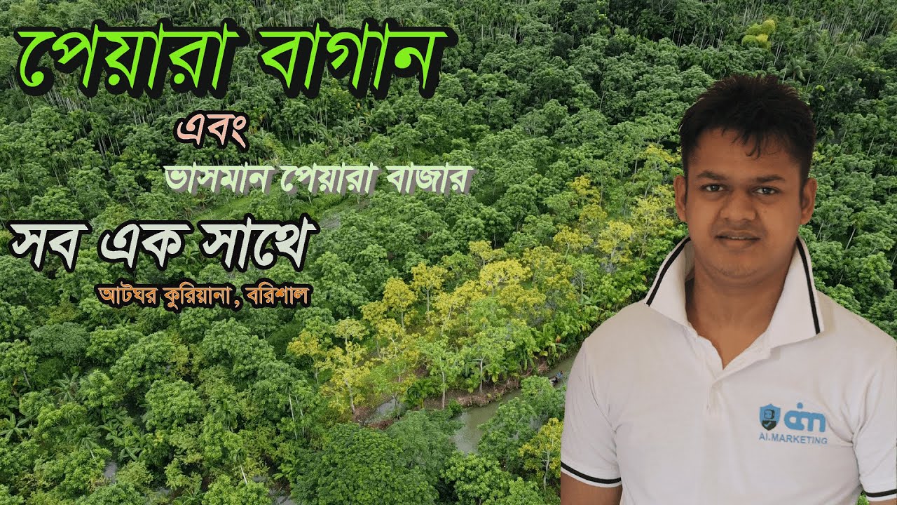 “একবার না দেখলে মিস করবেন! | বরিশালের ভাসমান পেয়ারা বাজার ও পেয়ারা বাগানের অসাধারণ দৃশ্য”